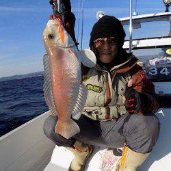フィッシングボート空風（そらかぜ） 釣果