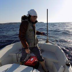 フィッシングボート空風（そらかぜ） 釣果