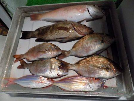 フィッシングボート空風(そらかぜ) 釣果