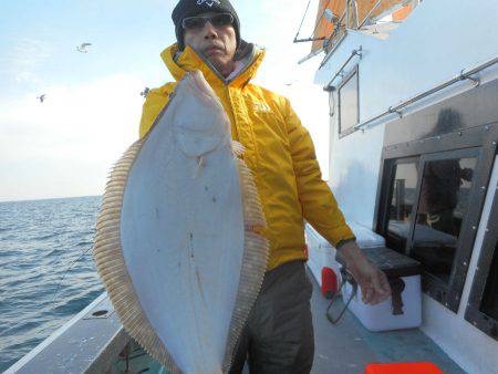 大進丸（愛知） 釣果
