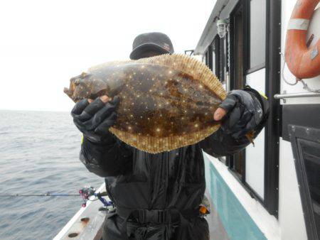 大進丸（愛知） 釣果