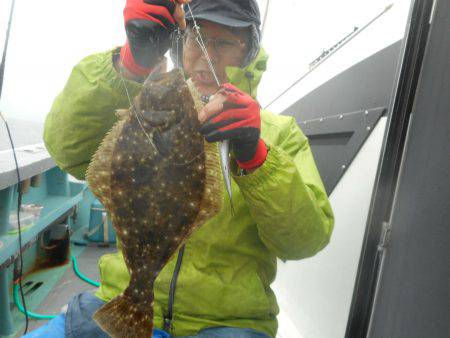 大進丸（愛知） 釣果