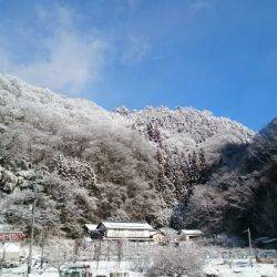 フィッシングエリア帝釈 釣果