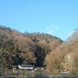 フィッシングエリア帝釈 釣果