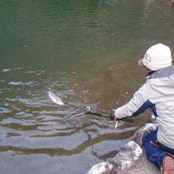 フィッシングエリア帝釈 釣果