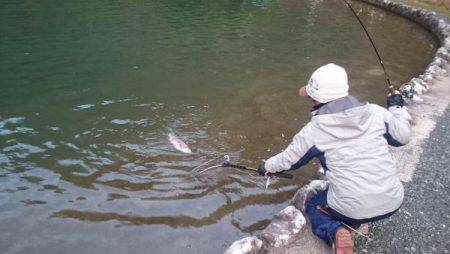 フィッシングエリア帝釈 釣果