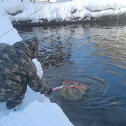 フィッシングエリア帝釈 釣果