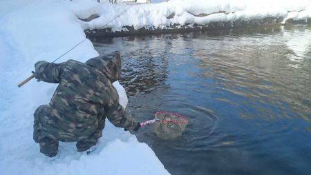 フィッシングエリア帝釈 釣果