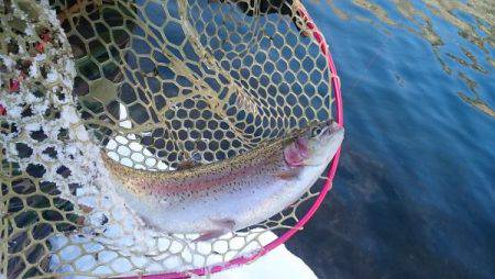 フィッシングエリア帝釈 釣果