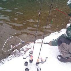 フィッシングエリア帝釈 釣果