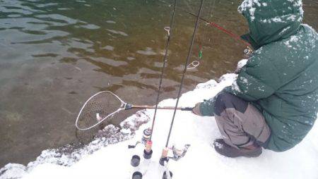 フィッシングエリア帝釈 釣果