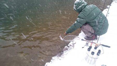 フィッシングエリア帝釈 釣果