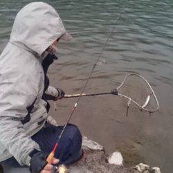 フィッシングエリア帝釈 釣果