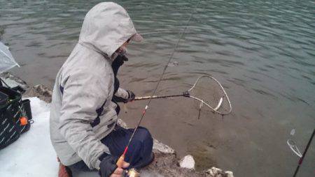 フィッシングエリア帝釈 釣果