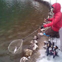 フィッシングエリア帝釈 釣果