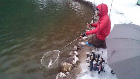 フィッシングエリア帝釈 釣果