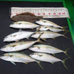 海宝丸　島根 釣果