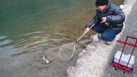 フィッシングエリア帝釈 釣果