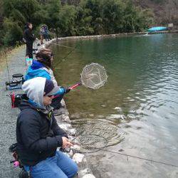 フィッシングエリア帝釈 釣果