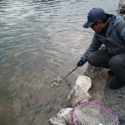 フィッシングエリア帝釈 釣果