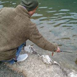 フィッシングエリア帝釈 釣果