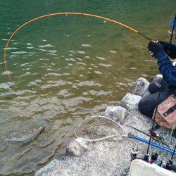 フィッシングエリア帝釈 釣果