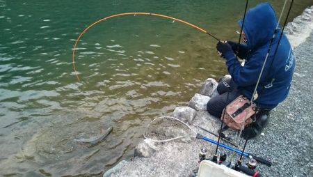 フィッシングエリア帝釈 釣果