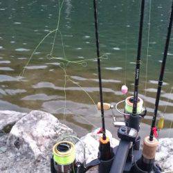 フィッシングエリア帝釈 釣果