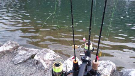 フィッシングエリア帝釈 釣果