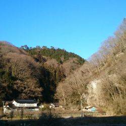 フィッシングエリア帝釈 釣果