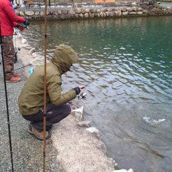 フィッシングエリア帝釈 釣果