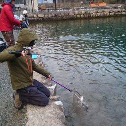 フィッシングエリア帝釈 釣果