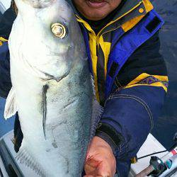 金剛丸 釣果