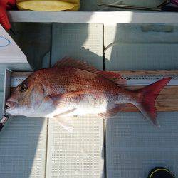 フィッシングボートACE(エース) 釣果