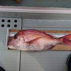 フィッシングボートACE(エース) 釣果