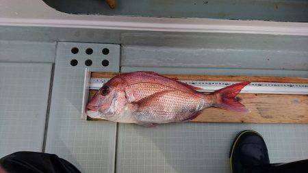 フィッシングボートACE(エース) 釣果