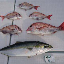 フィッシングボートACE(エース) 釣果