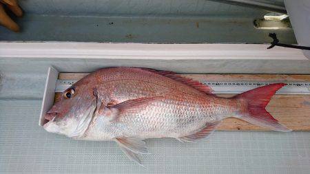 フィッシングボートACE(エース) 釣果