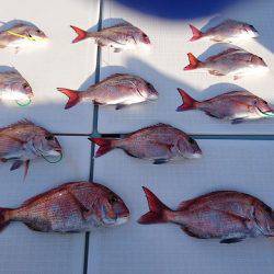 フィッシングボートACE(エース) 釣果