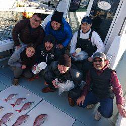 フィッシングボートACE(エース) 釣果