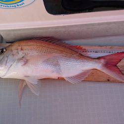 フィッシングボートACE(エース) 釣果