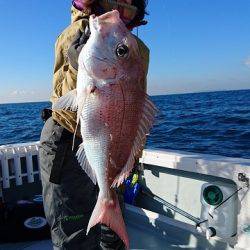 フィッシングボートACE(エース) 釣果