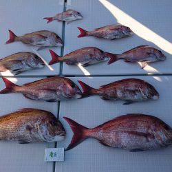 フィッシングボートACE(エース) 釣果