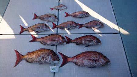 フィッシングボートACE(エース) 釣果