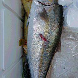 海皇丸 釣果
