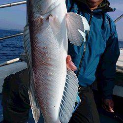 海皇丸 釣果