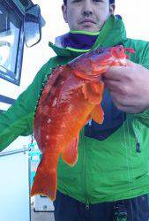 伊豆下田フィッシング 釣果