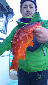 伊豆下田フィッシング 釣果