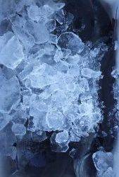 伊豆下田フィッシング 釣果