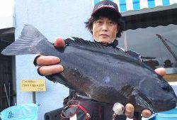 伊豆下田フィッシング 釣果